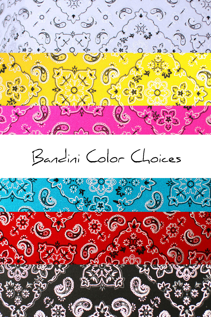 Colleen Kelly Designs Swimwear Style #2340